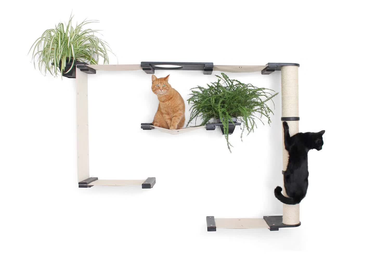 Cat Wall Cat Climber-3